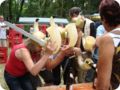 dsc03189__large_.jpg
