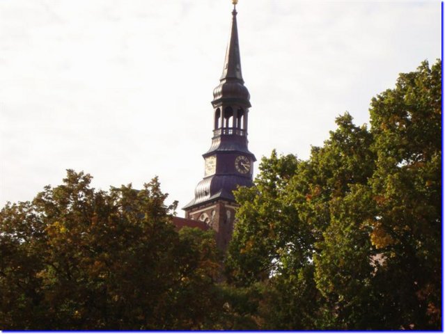dsc03498__medium_.jpg