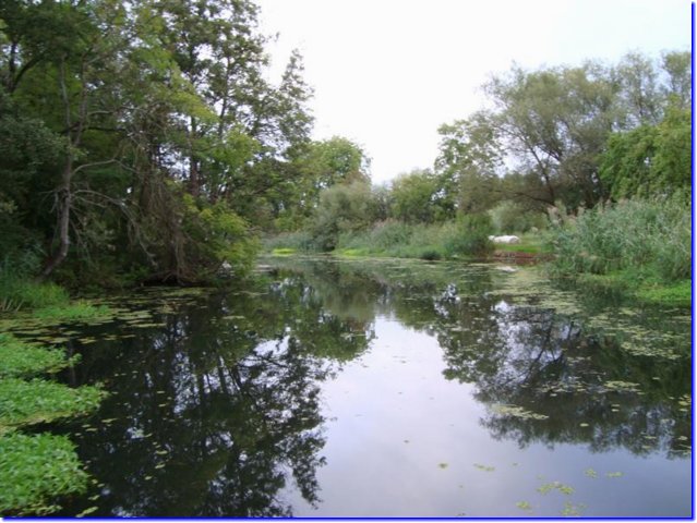 dsc03529__medium_.jpg