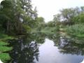 dsc03529__medium_.jpg